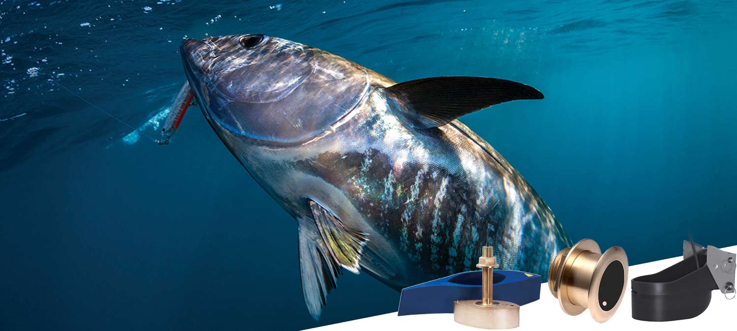 Bluefin Tuna fishing. Which transducer?